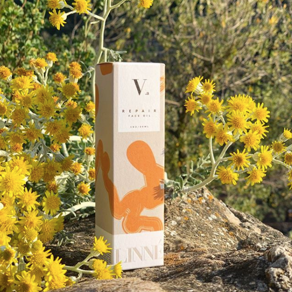 IMMORTELLE