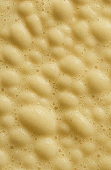 Probiotic Ferment